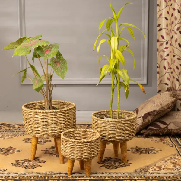 Casa Houm Jute Planter (Brown) - Set Of Three